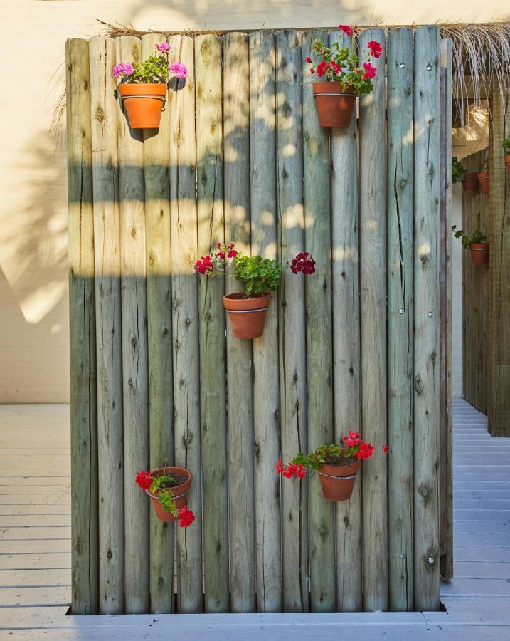 Posada Tamarindo José Ignacio Exteriér fotografie